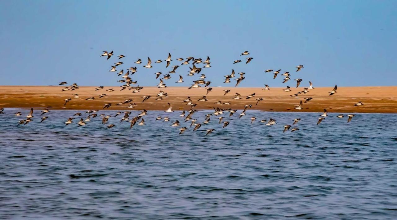 The Alampara Resort - Luxury Boutique Glamping & Water Sports Cheyūr المظهر الخارجي الصورة